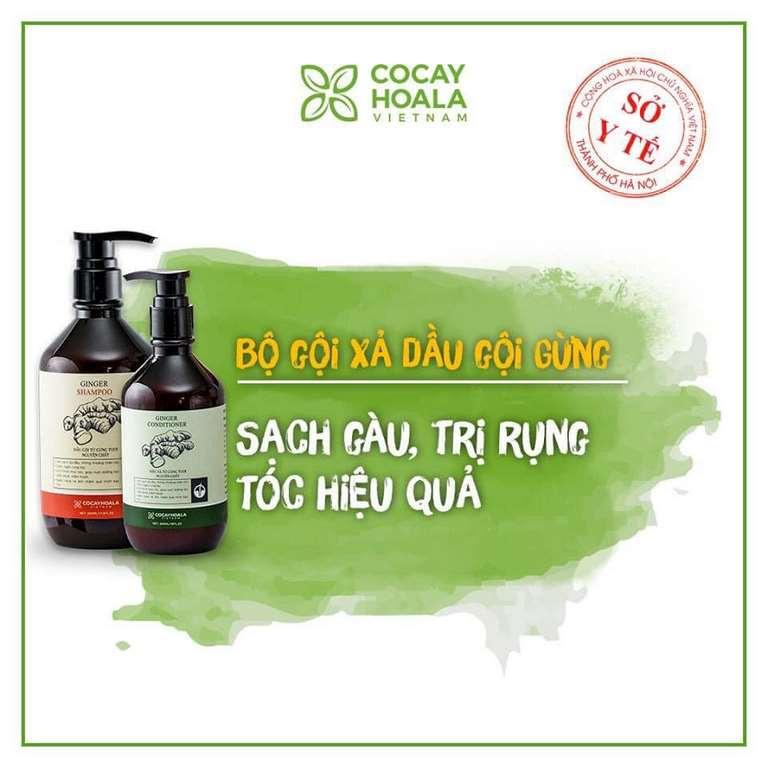 Combo Dầu gội - Dầu xả Gừng giảm rụng tóc ngay lần gội đầu tiên tốt nhất