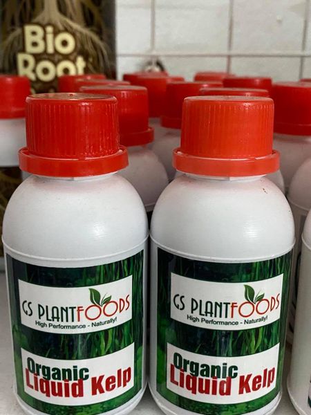[HCM]Phân bón lá chiết xuất rong biển ORGANIC LIQUID KELP hàng Mỹ chai 100ml