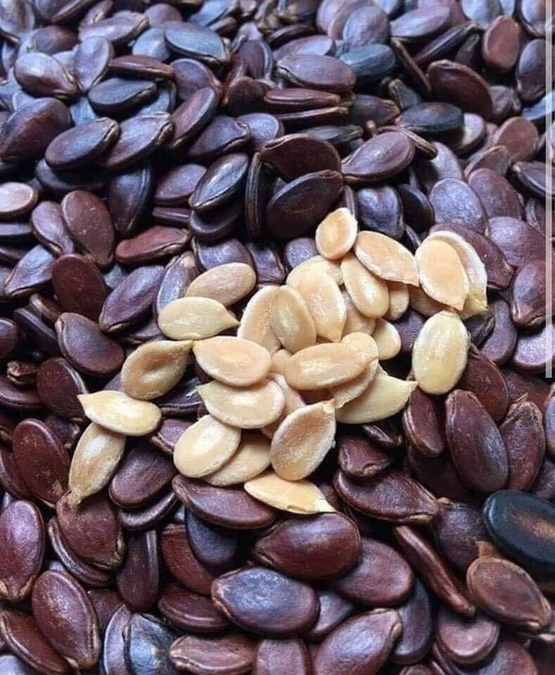 GÓI 500gr HẠT DƯA RANG CỦI TRƯỜNG ĐẠT