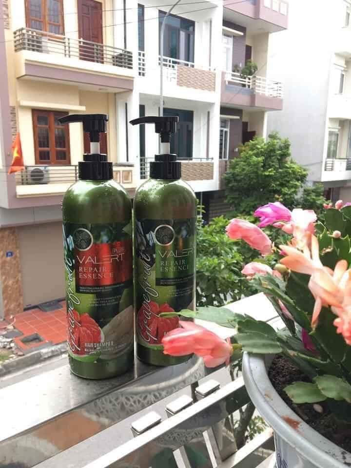 Cặp Dầu Gội xả Bưởi Cao Cấp GRAPEFRUIT VALER 850mlx2