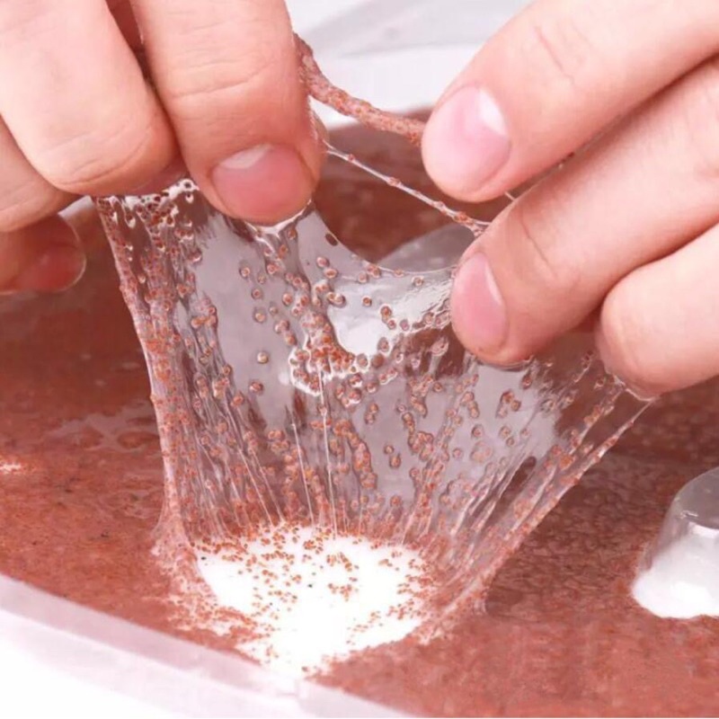 Hạt đình lịch 500g, Đình lịch hạt to - Tấn Phát