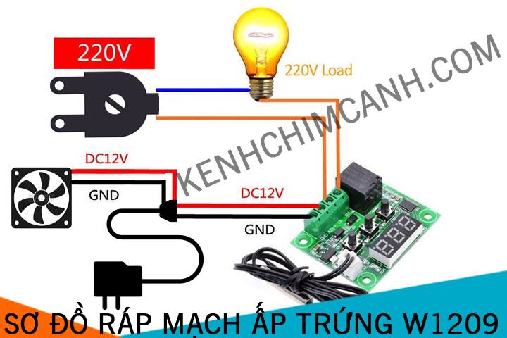 Bộ ấp trứng tự động 6 món mạch thông minh