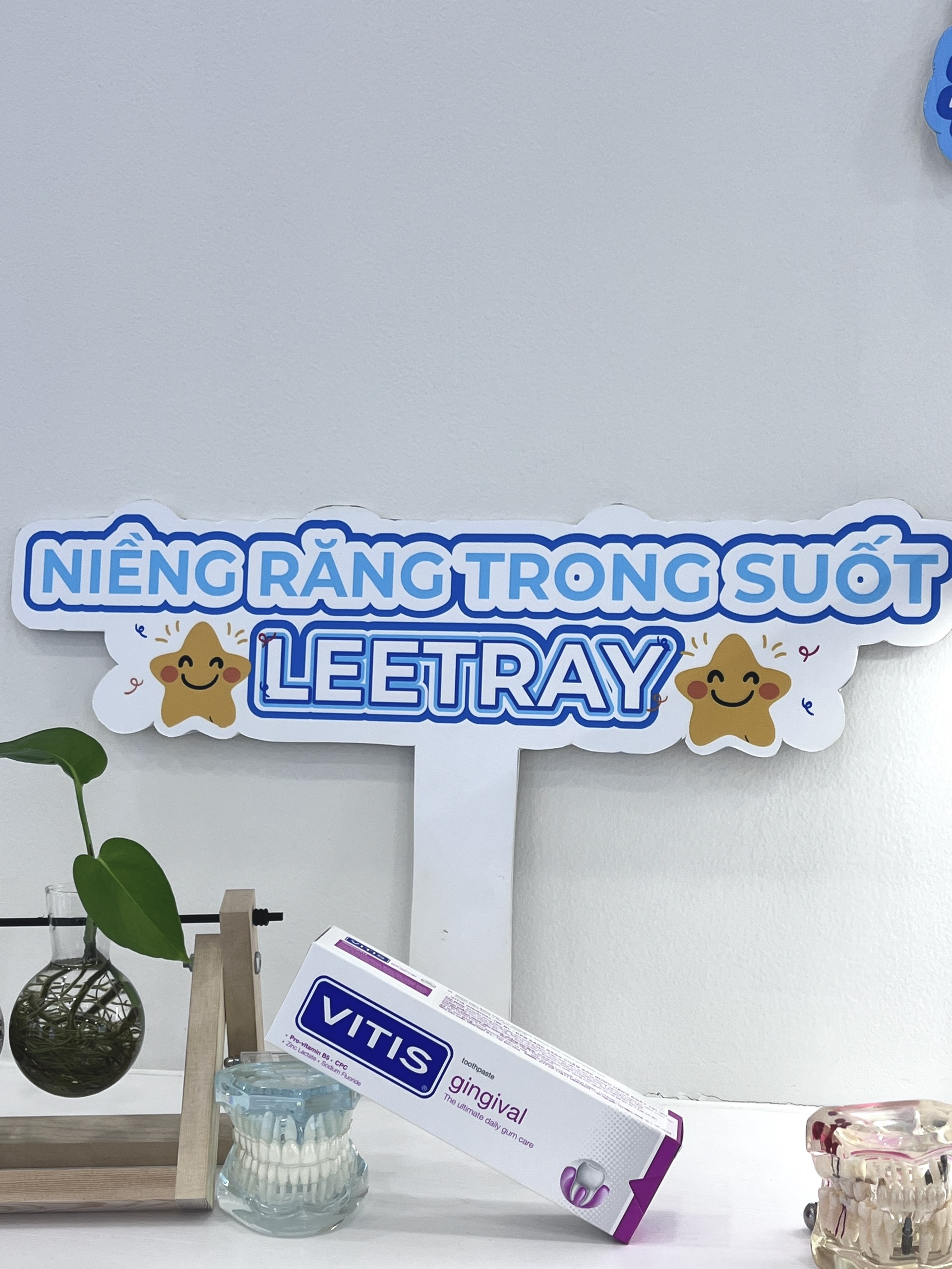 Kem đánh răng cho nướu nhạy cảm Vitis Gingival Toothpaste 100ml
