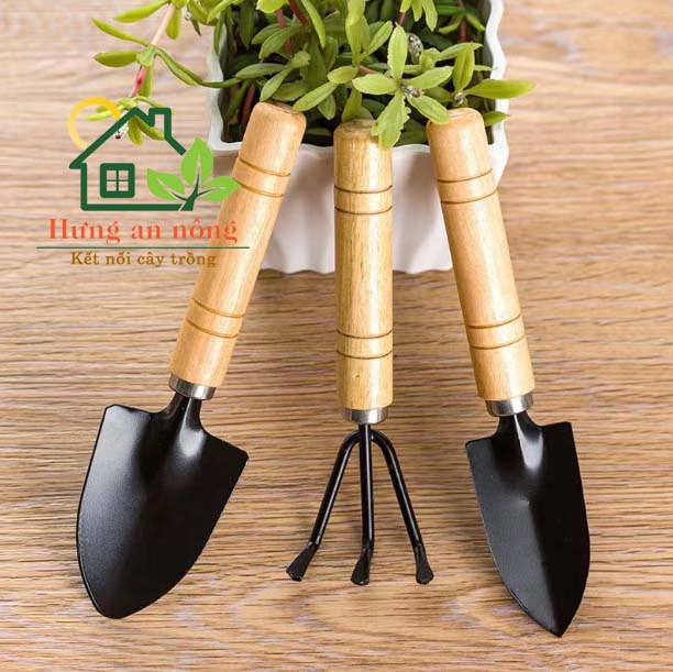 Bộ 3 cuốc cào gỗ mini dụng cụ làm vườn size M,