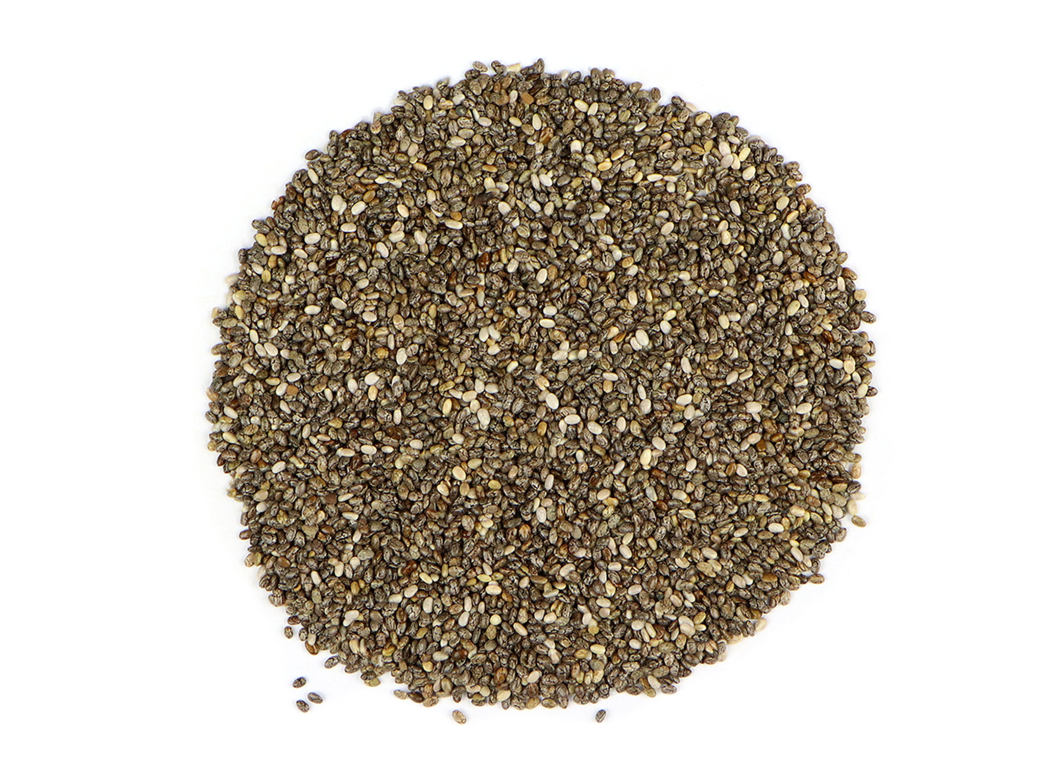 Hạt Giống Hạt Chia Mỹ (Gói 1000 Hạt)