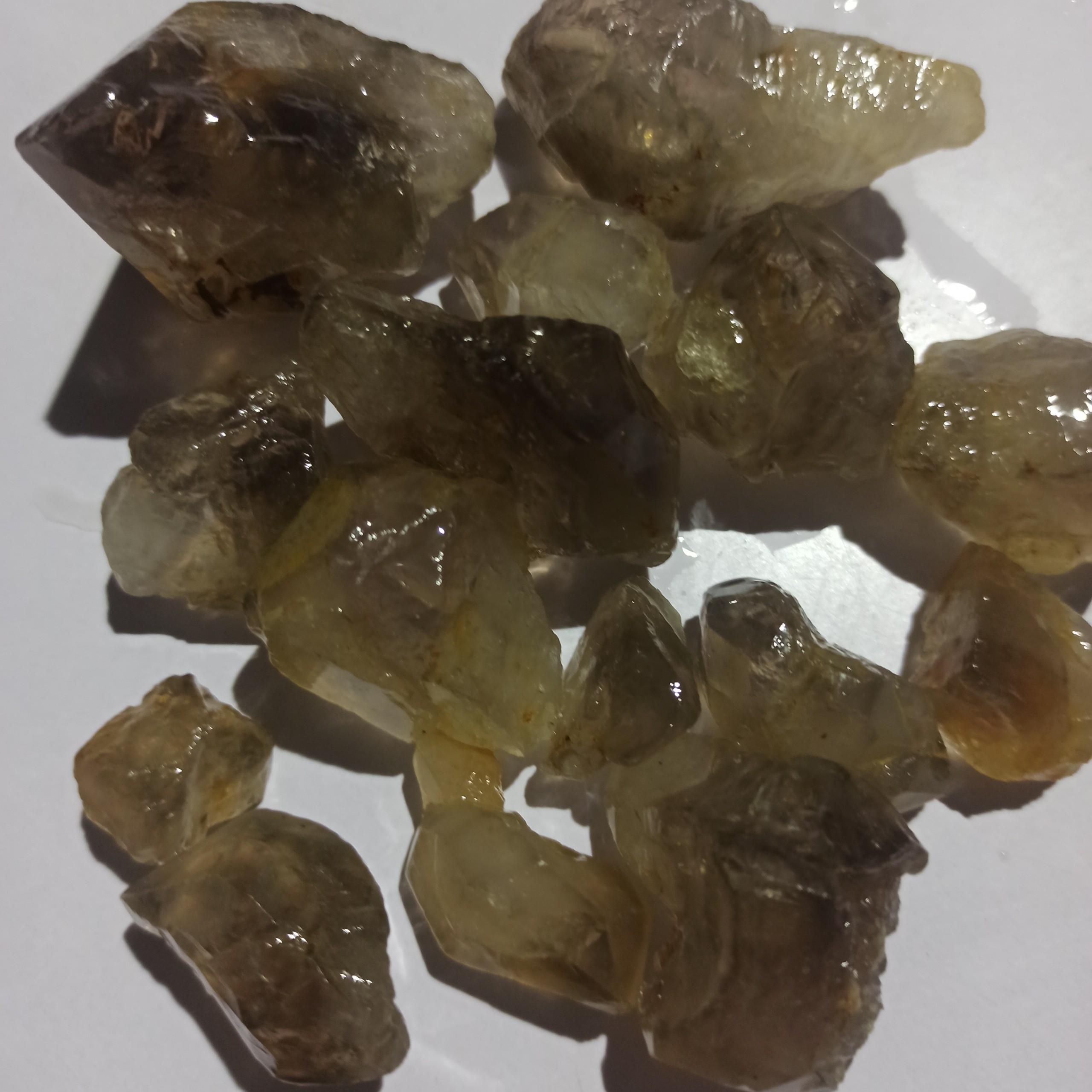 100gr Mầm Khói tự do mini Smoke