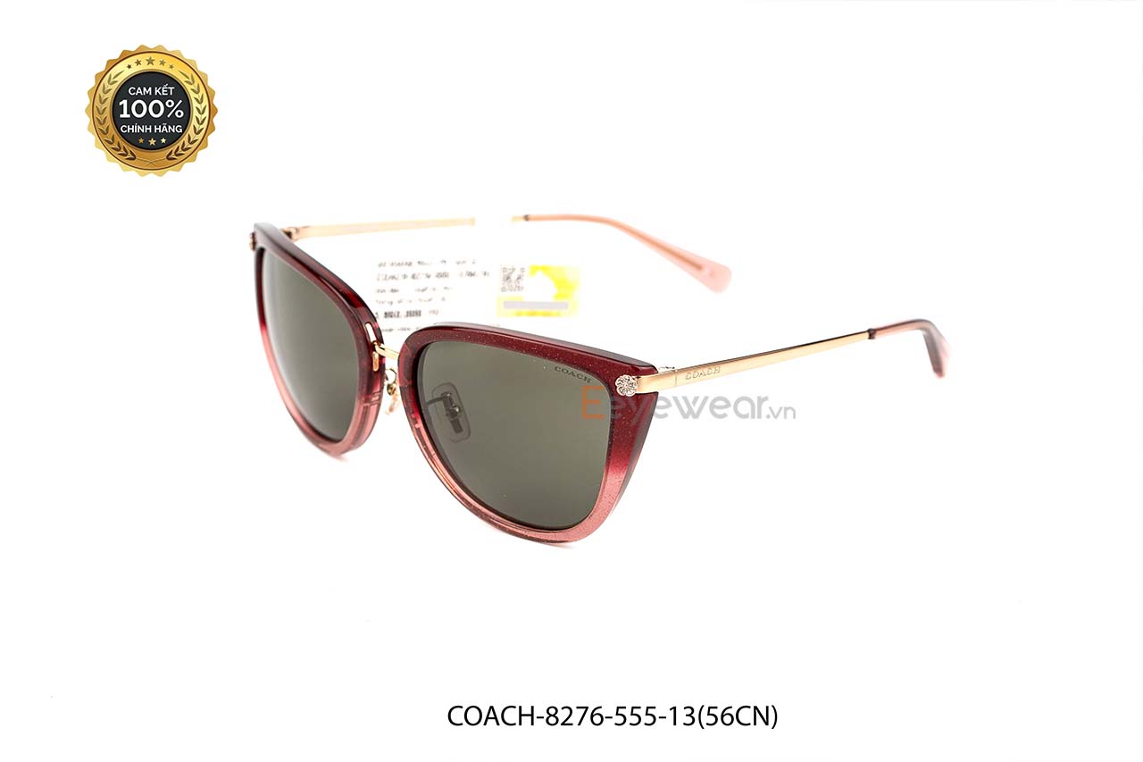 [100% CHÍNH HÃNG] KÍNH MÁT COACH-8276