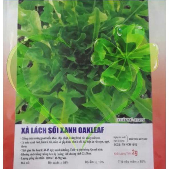 Hạt giống xà lách sồi xanh Oakleaf - gói 2 gram