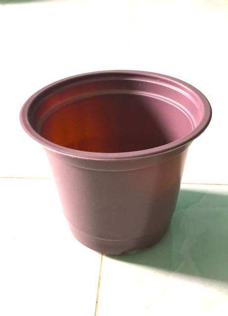 Combo 10 cái Chậu Nhựa Mỏng Trồng Cây - Ươm Cây (Có 4Size: 20-26)