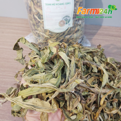 Trinh Nữ Hoàng Cung sấy khô ngừa ung thư cổ tử cung, chống u xơ u nang, lở loét, 100% thiên nhiên | Farm24h