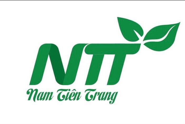 Hạt giống Cà chua Cherry Vàng TN