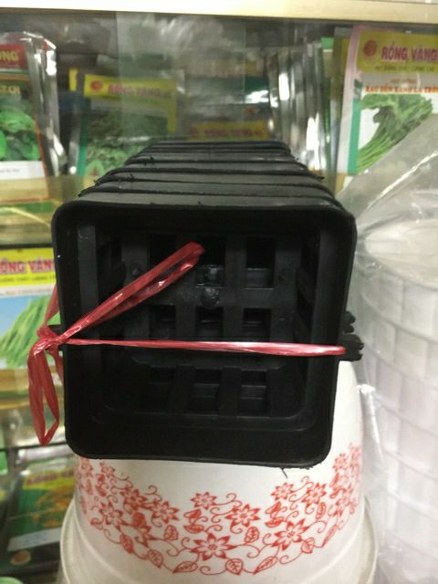 combo 10 chậu vuông trồng lan - chậu lan vanda.