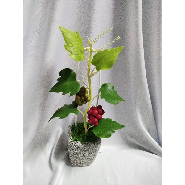 Chậu nho đất sét cao 25cm