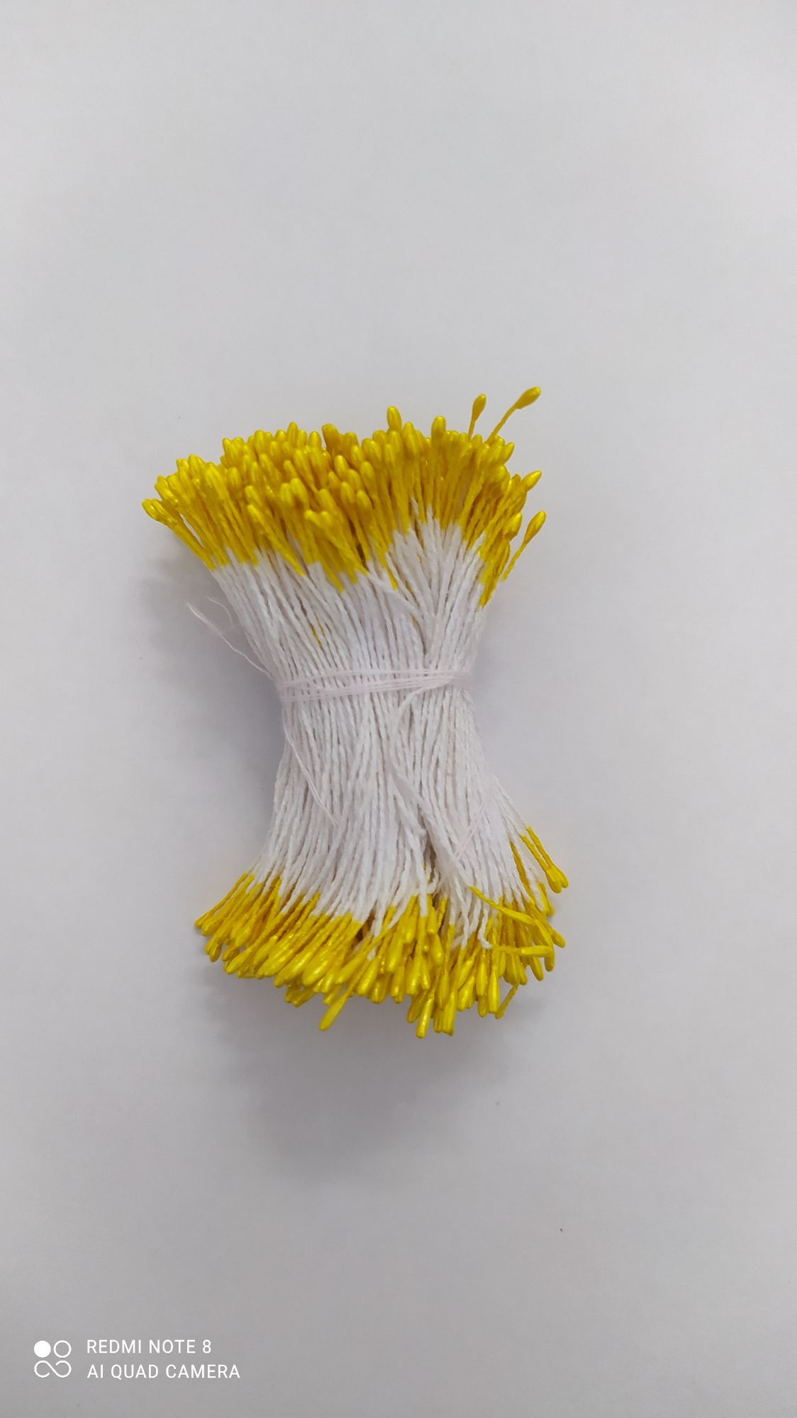 Bó Nhị Nhuỵ đầu dài (700 đầu)