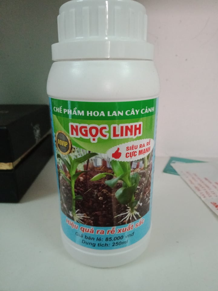 Bộ chăm var Chế Phẩm Ngọc Linh