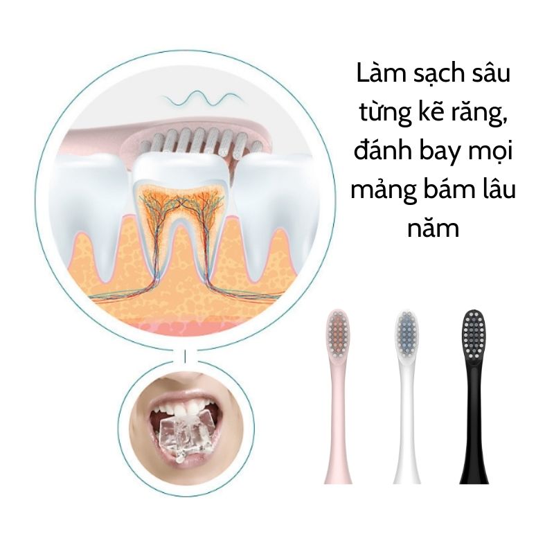 Đầu bàn chải điện đánh răng X-3 đầu tròn chống thấm lông lụa Dupont mềm mại DBC01