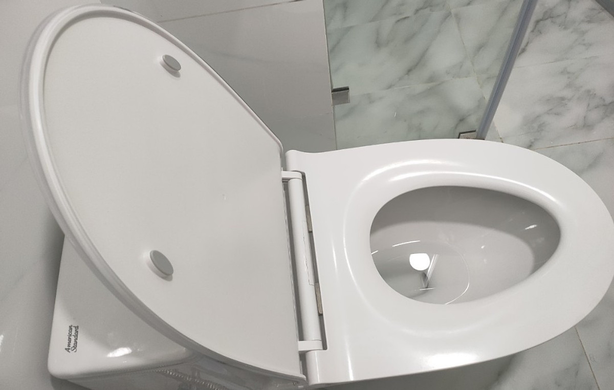 Nắp bồn cầu American WP-C119
