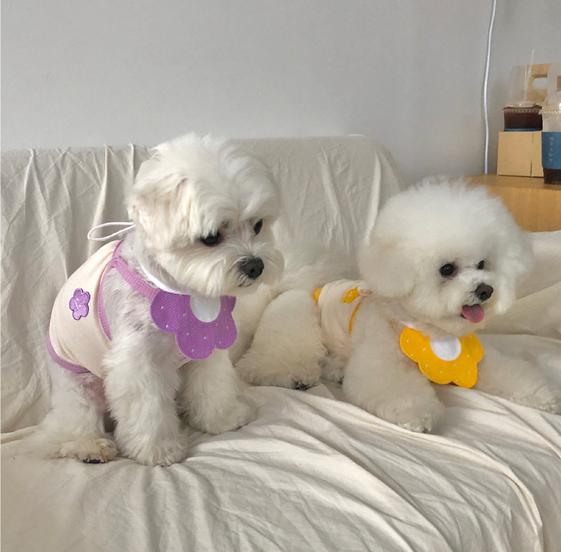 Yếm Đeo Cổ Dễ Thương Cho Chó Mèo