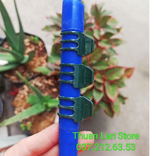 Set 10c Kẹp Bướm Size Đại Dùng Cố Định Lan