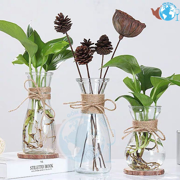 [HCM]SET 3 lọ thủy tinh chậu trồng cây EO LỚN - EO NHỎ - LOE - MIX 3 MẪU SIÊU XINH tặng kèm 3 dây dừa trang trí, Hàng uy tín chất lượng giá tốt,