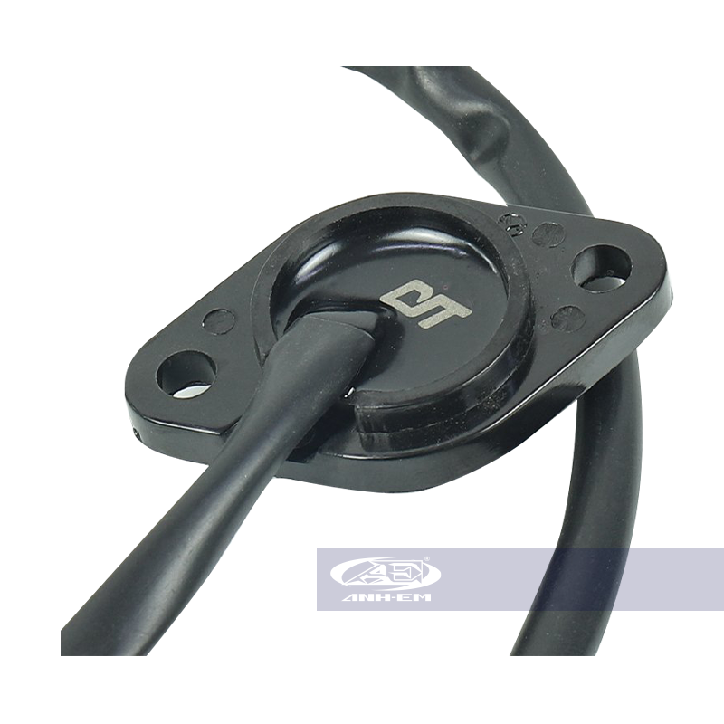 Báo số RGV (CYT) - RGV120-0873
