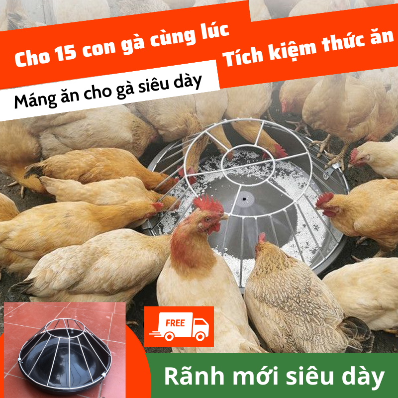 Máng ăn tự động cho gà chống bới MA111
