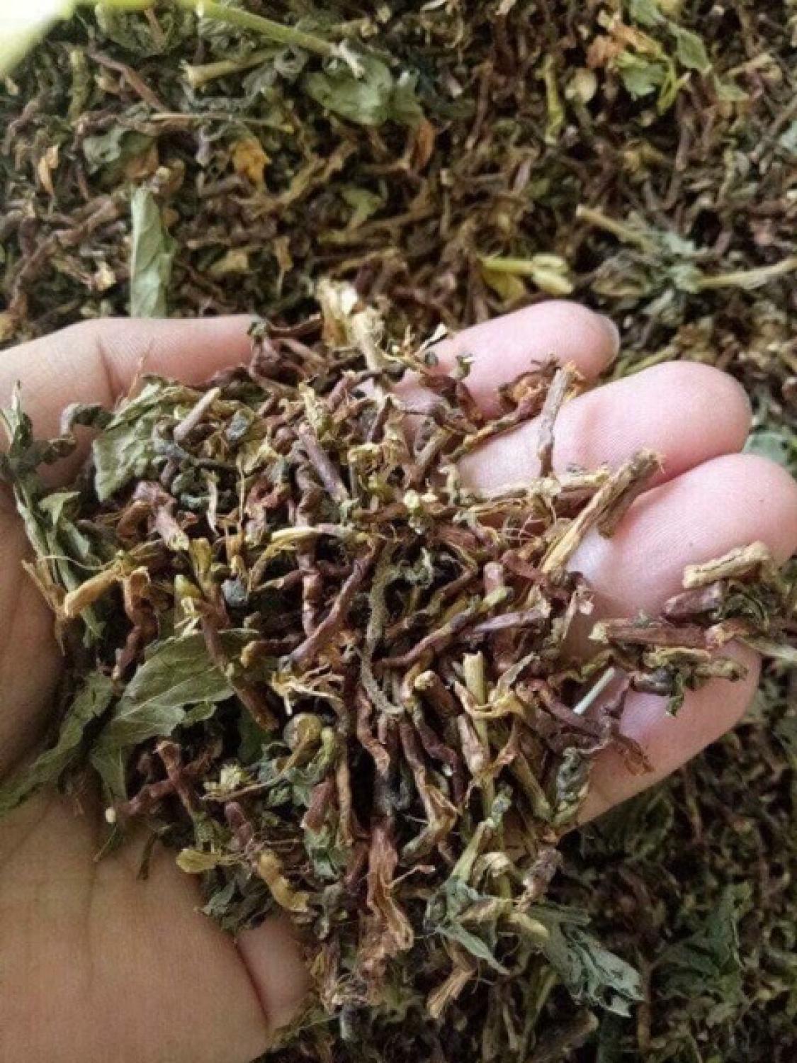 1kg Trà Sơn mật Hồng sâm nhiều hoa