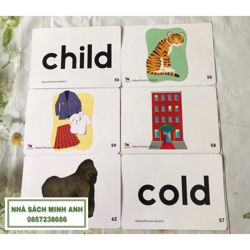 Flashcard OXFORD PHONICS WORLD 5-96 thẻ (khổ A5-cán bóng)