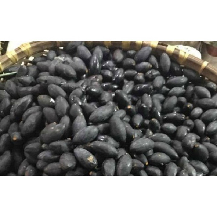 cây giống trám đen nếp siêu quả