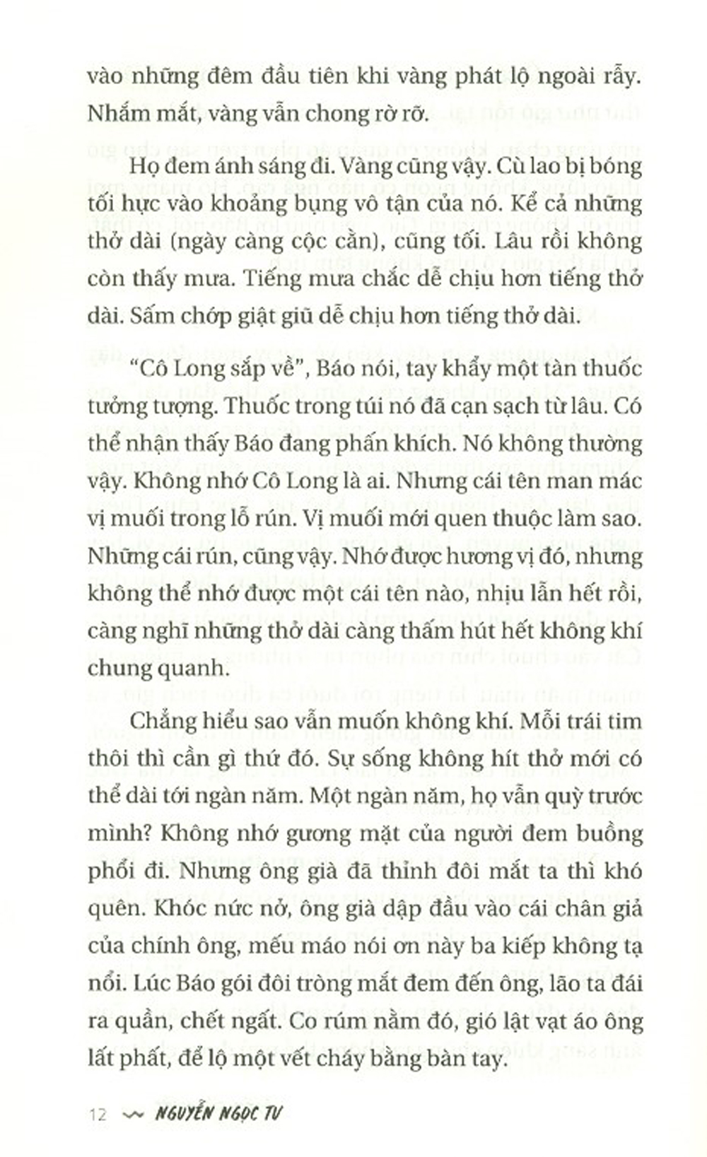 Biên Sử Nước - Tiểu Thuyết