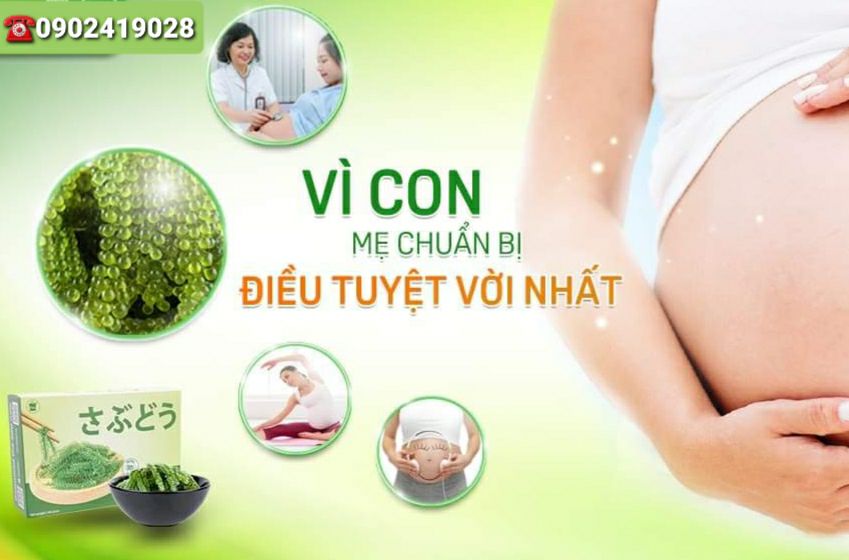 [HCM]COMBO 2 HỘP RONG NHO SABUDO (24 GÓI)
