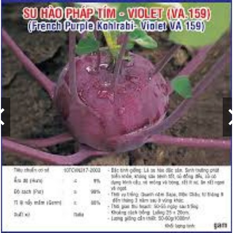 Hạt Giống Su Hào Tím Gói 2 Gram