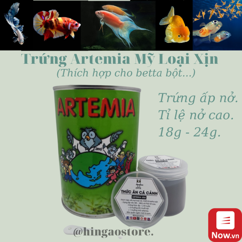 Trứng Artemia Mỹ Tỉ Lệ Nở Cao - Thức ăn cá betta bột, cá bột  Hingaostore.