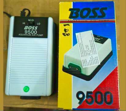 Máy Oxy 2 vòi Boss 9500 SIÊU ÊM CHO HỒ CÁ