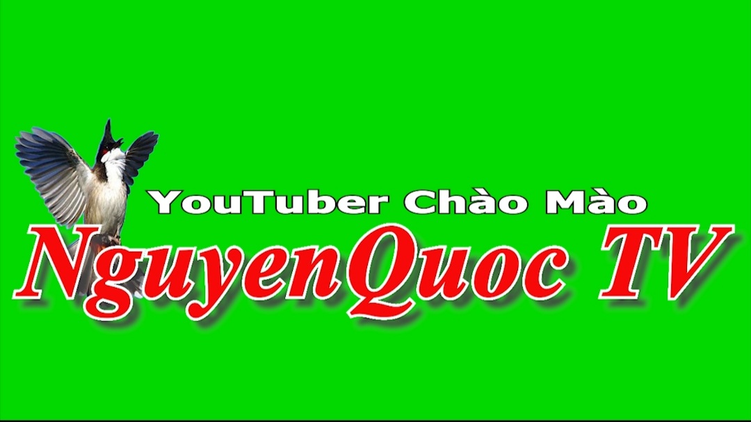 Cám Đấu Chào Mào Thành Beck ( cám đen )
