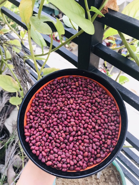1kg đậu đỏ