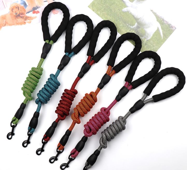 Power-Assisted Leash for Dogs with Large Hooks