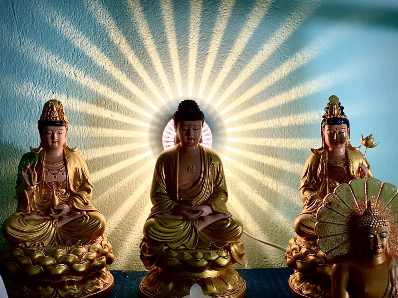 Đèn hào quang kim sắc(ánh sáng vàng nhạt ánh kim)[Biên Hoà]