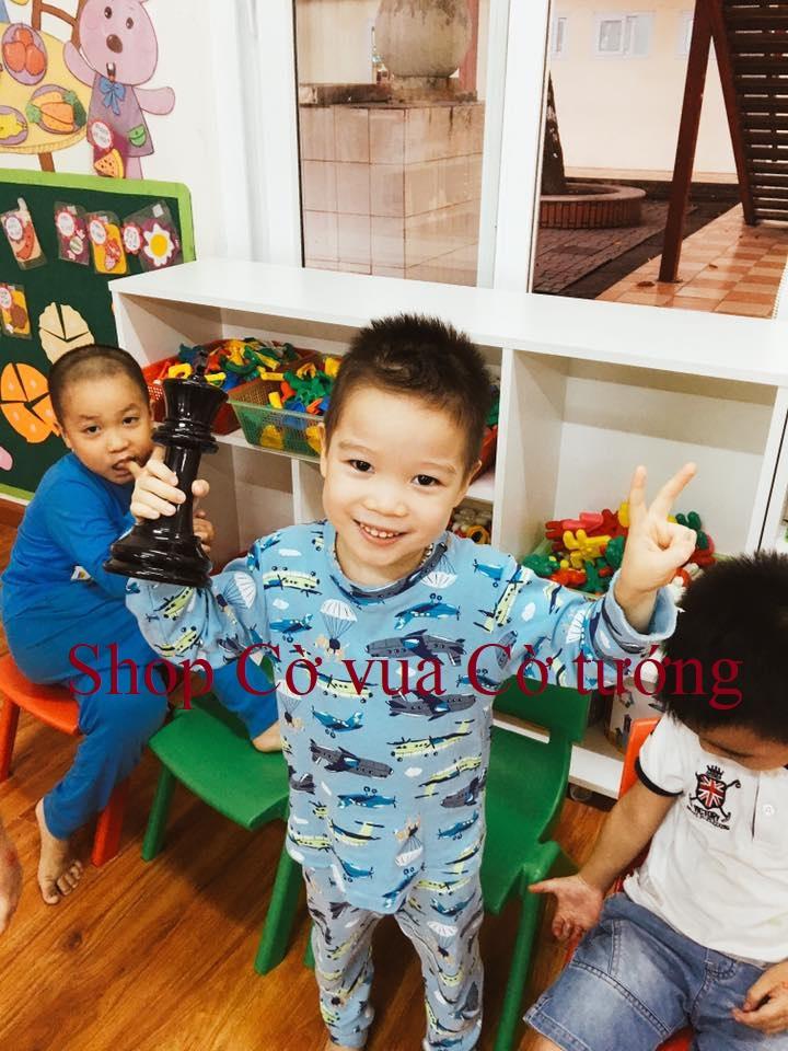 Bộ cờ vua vận động cỡ nhỏ