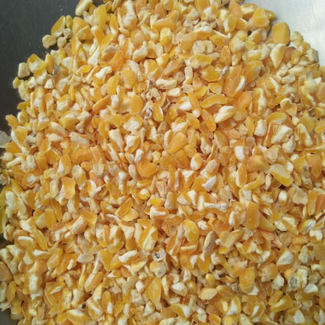 bắp bể - ngô vỡ dùng cho chim gà heo