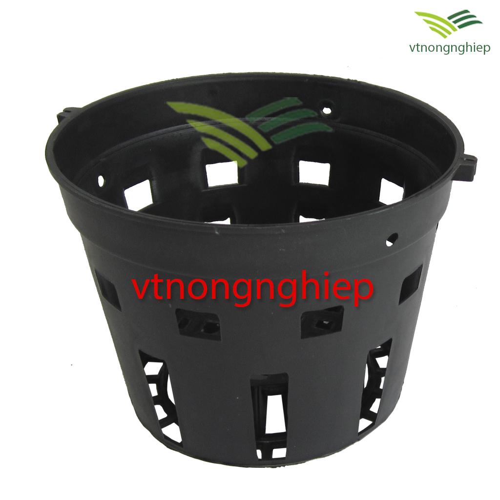 50 Chậu nhựa trồng Lan phi 18