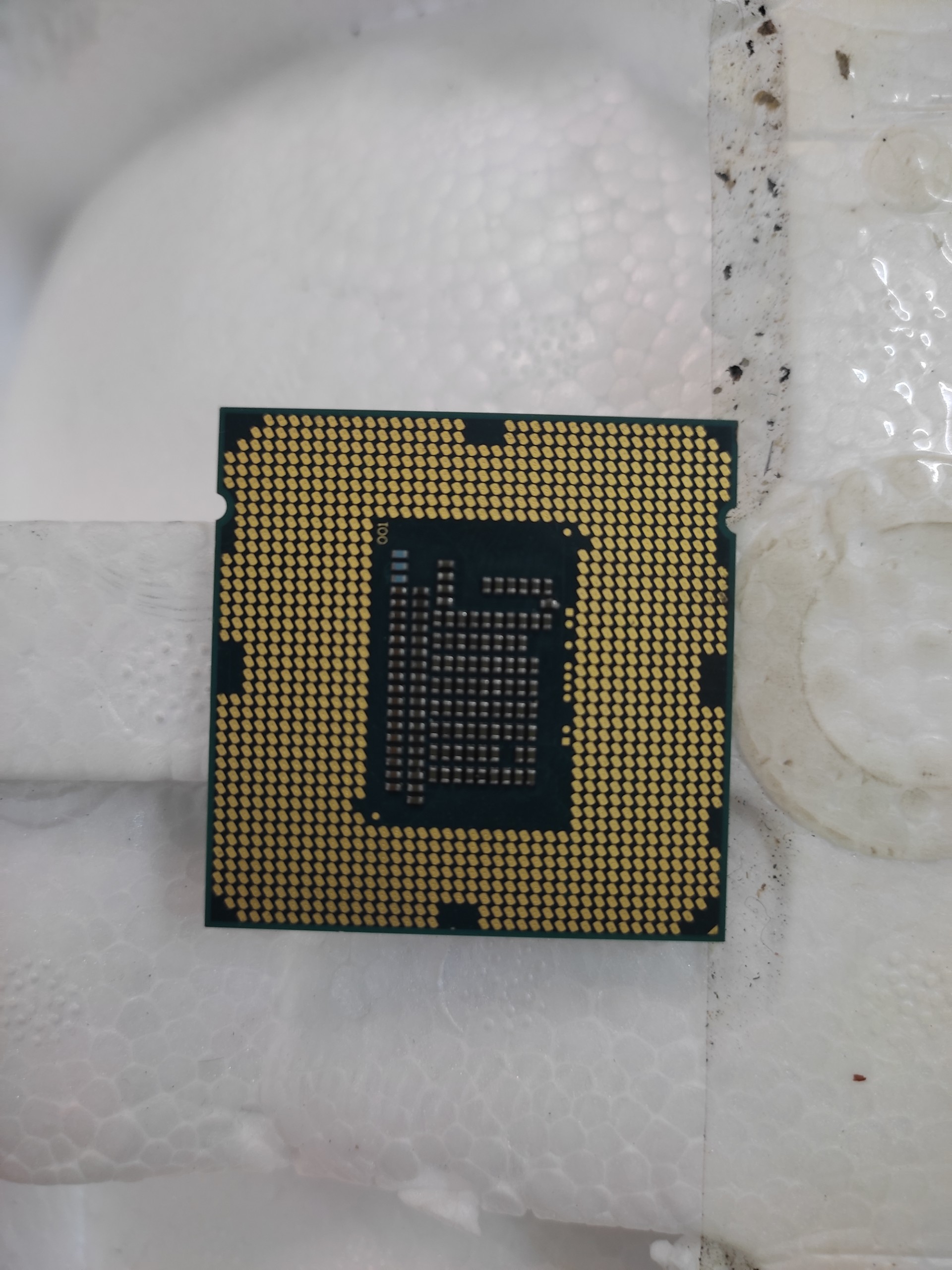 CPU G2020 G2030 socket 1155 lắp main H61 B75...Z77