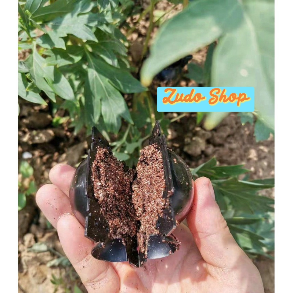 Bầu Chiết Cành AgroViet
