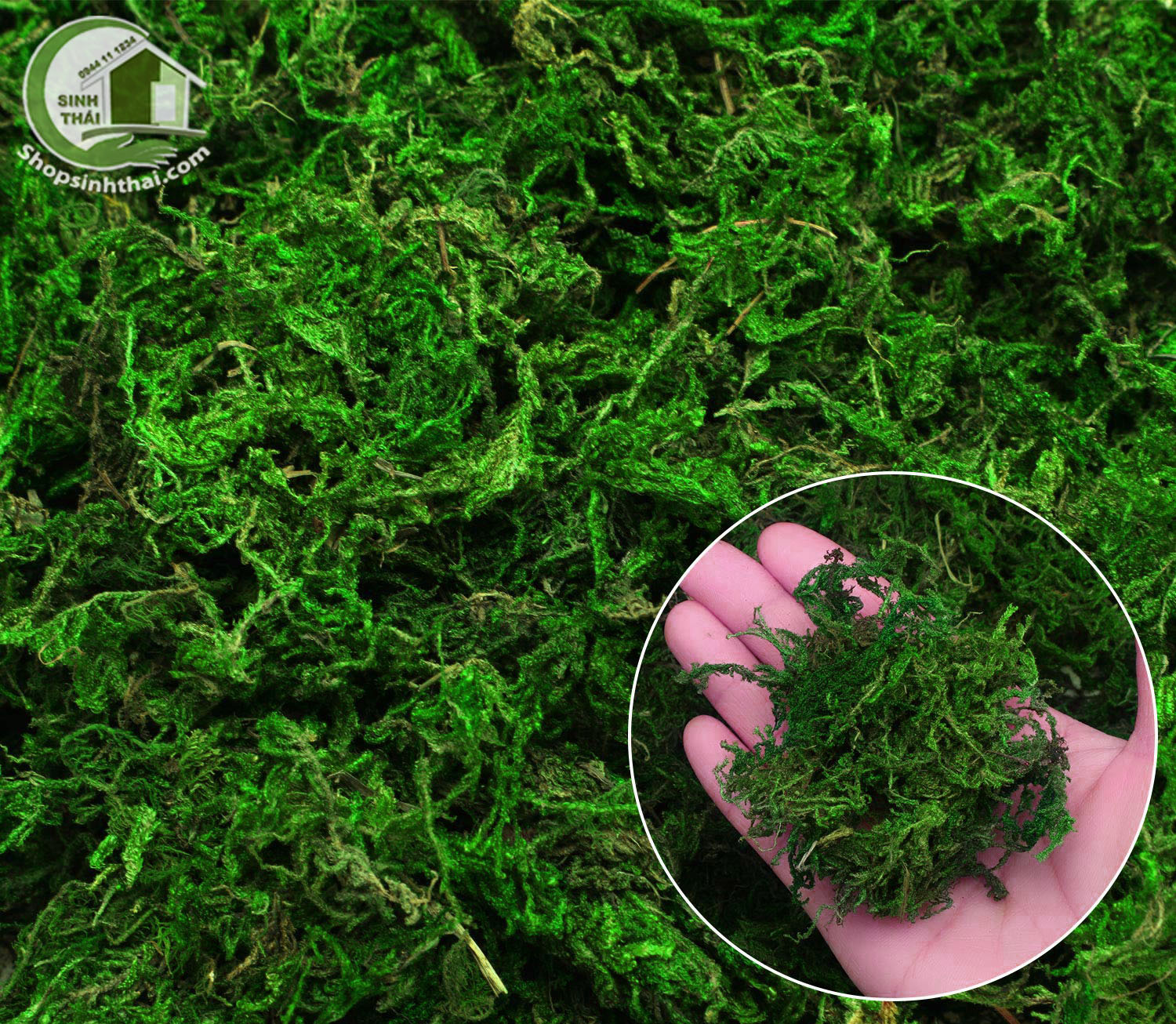 [HCM]Bịch Cỏ Sợi Rêu Sợi Bột Rêu Cỏ Giả Dùng Phủ Chậu Cây Trang Trí Mô Hình