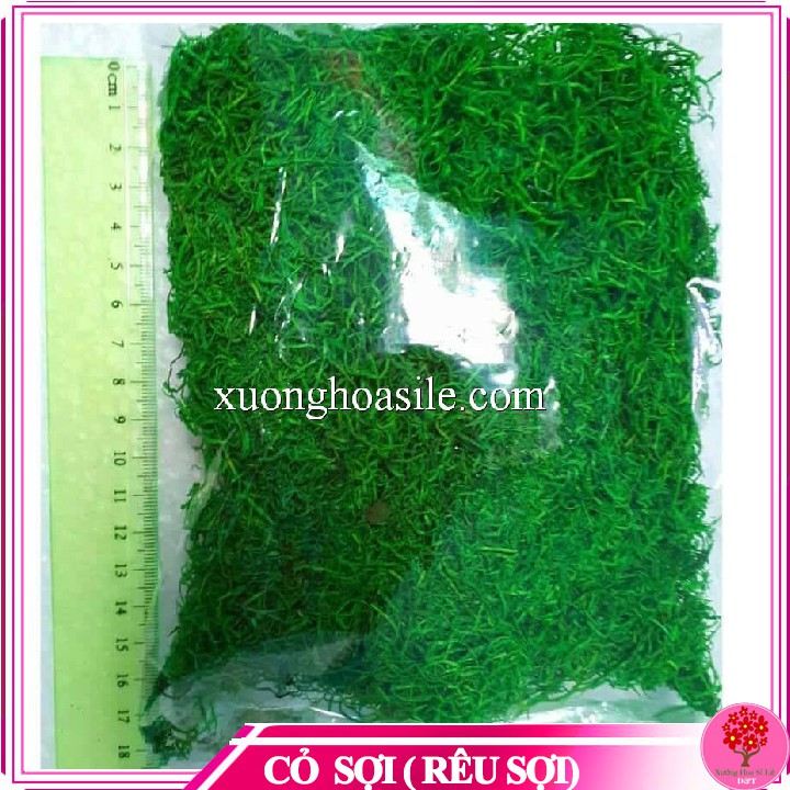[HCM]1 BỊCH CỎ SỢI RÊU SỢI