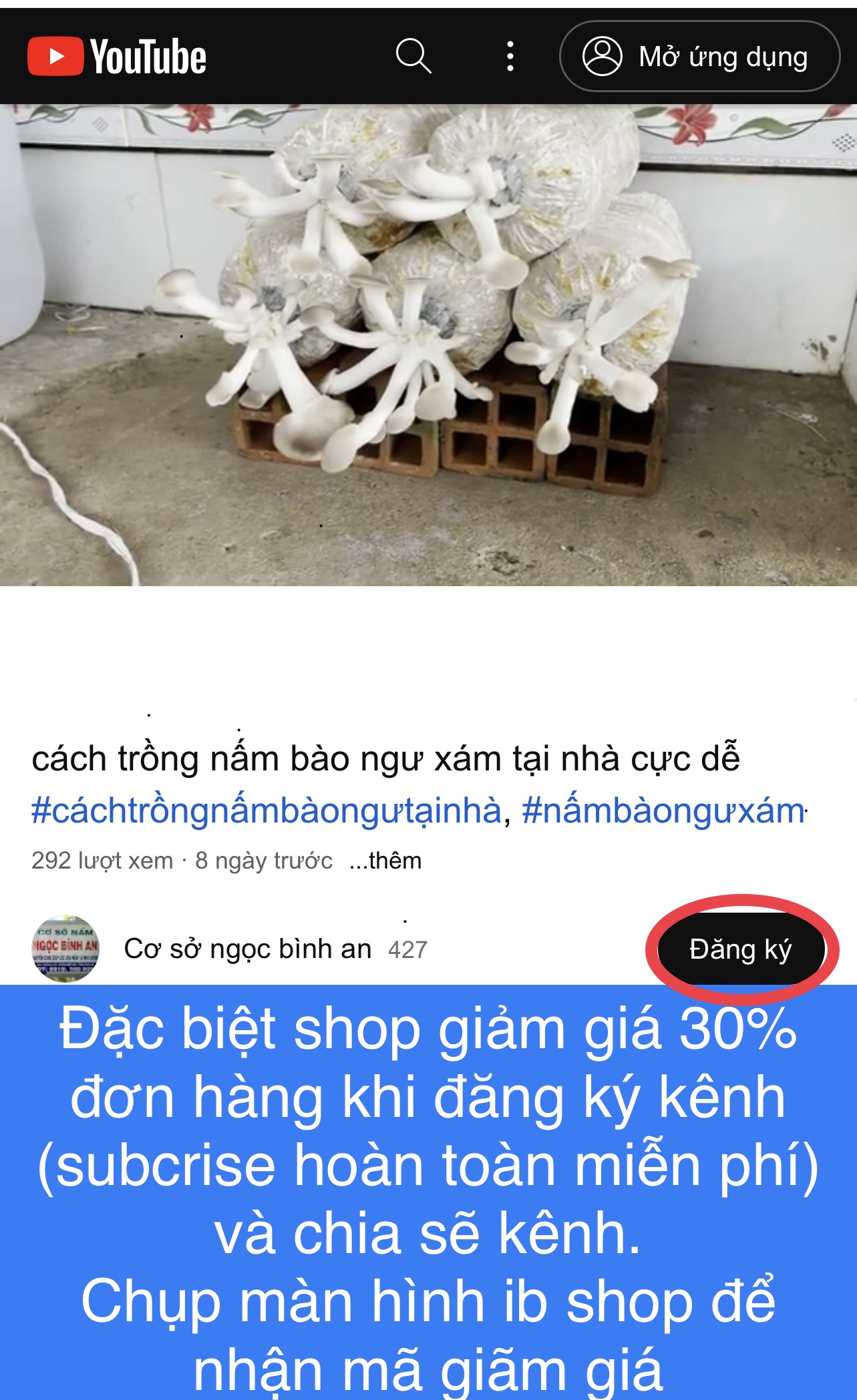 Bioted nấm rơm