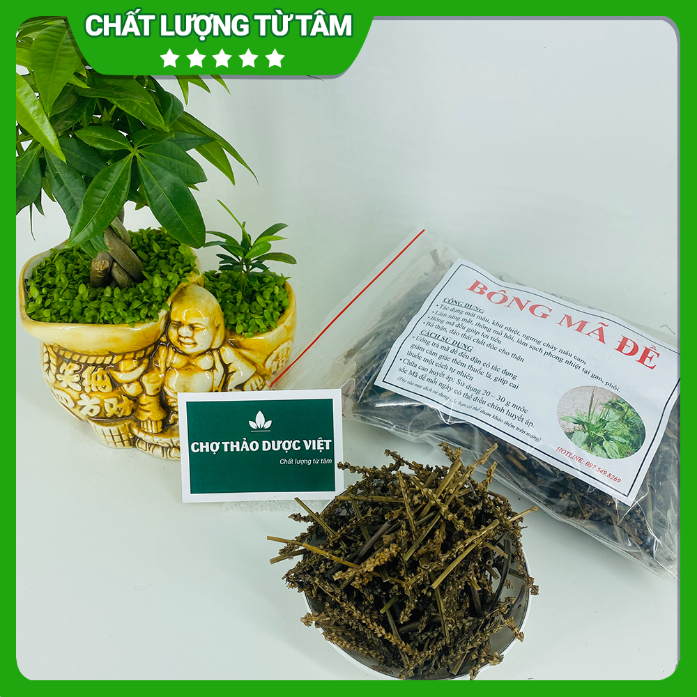 Bông mã đề 1kg, cây mã đề lợi tiểu hỗ trợ tán sỏi thận, bí tiểu, giảm ho tiêu đờm, ổn định huyết áp