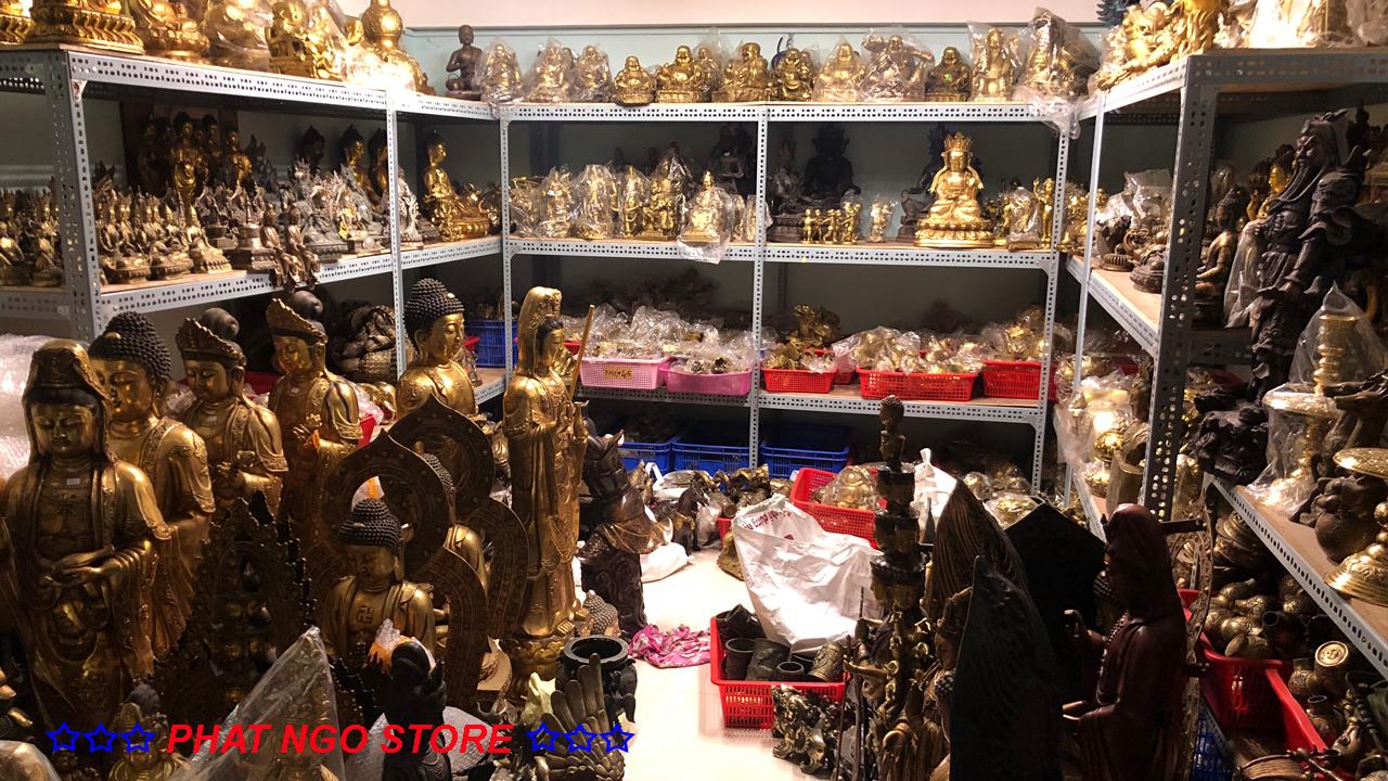 CẶP SƯ TỬ ĐỒNG NGUYÊN CHẤT