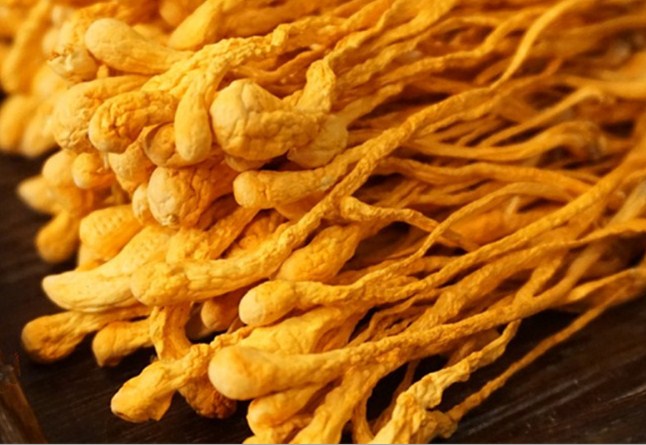 (1KG) ĐÔNG TRÙNG HẠ THẢO SẤY KHÔ (loại sếp ngang )