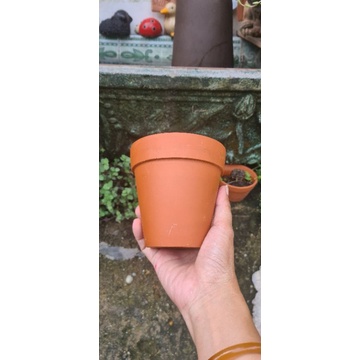Chậu đất nung bình dương sz 10x10, 9x9, 8x8